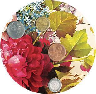 2018鑫產(chǎn)品 富貴花開(kāi)，財(cái)源滾滾的水果盛宴